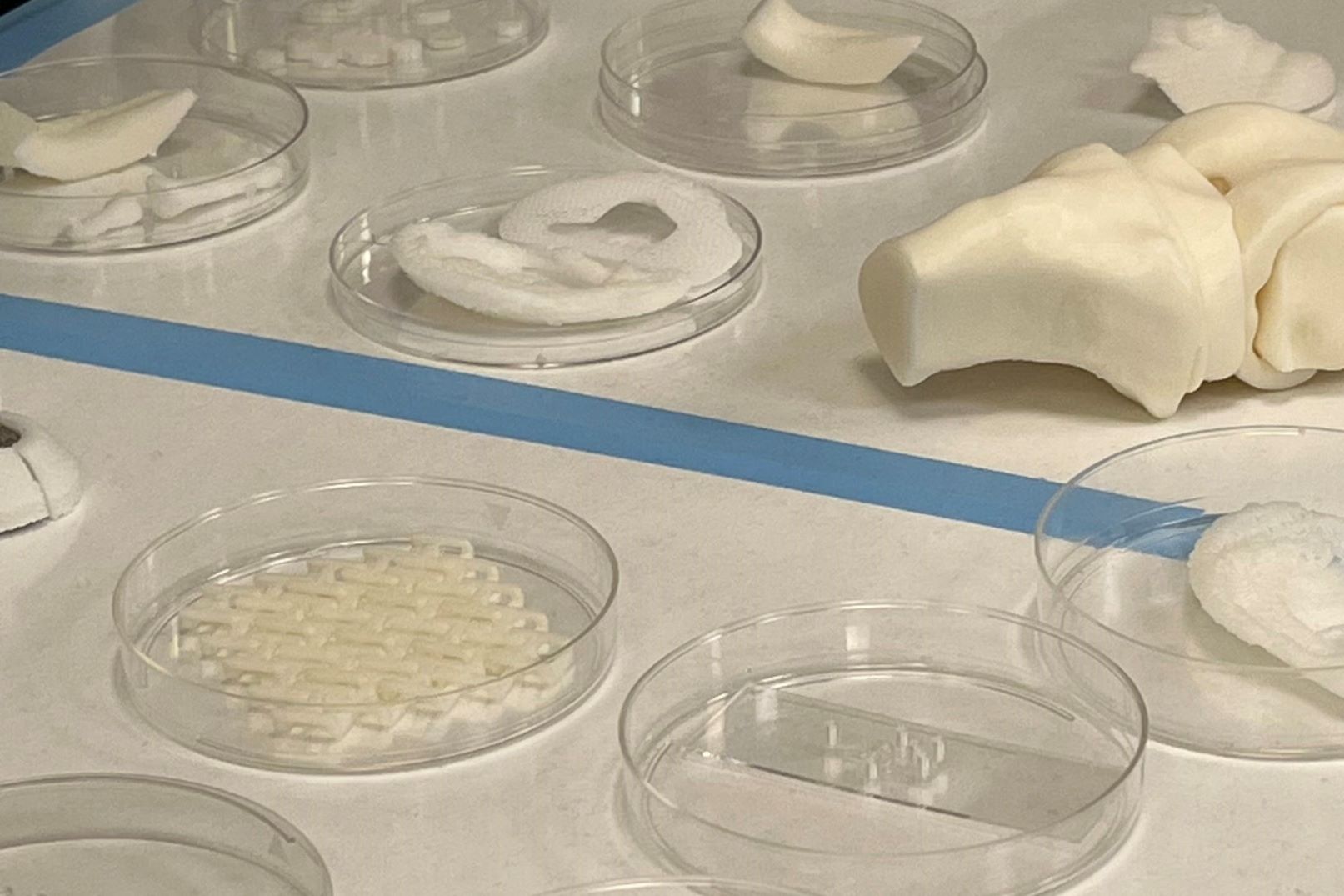 3D bioprinted parts from WFIRM
